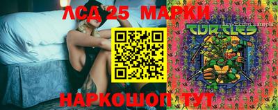 PSILOCYBIN Гатчина