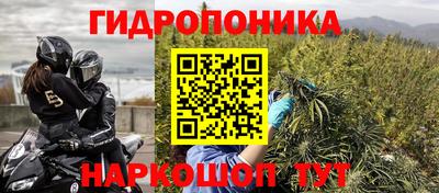 твердый Гай