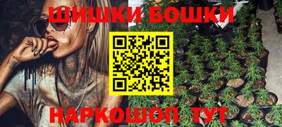 PSILOCYBIN Гатчина
