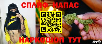 PSILOCYBIN Гатчина