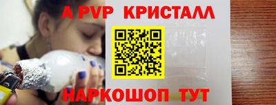 PSILOCYBIN Гатчина
